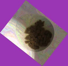 thumbnail of bSsJbbWvChyiB.jpg
