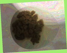 thumbnail of 2DvPjsL3B2iqXr.jpg