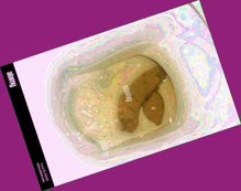 thumbnail of jN8i4rlaAj6gJ.jpg