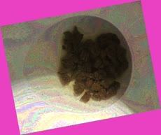 thumbnail of Rwe1BWSurySD.jpg