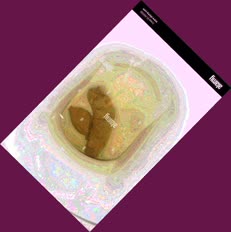 thumbnail of GLbemJXDd57i0YheL.jpg