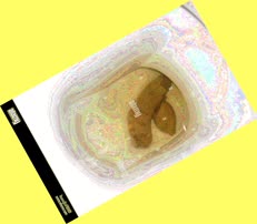 thumbnail of To8dCCHpRAIfDLT0X.jpg