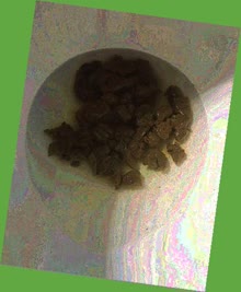 thumbnail of rEOnBq3y1kHWwcDs.jpg