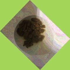 thumbnail of WHJ9HV9fOfVnoEY6EIs.jpg