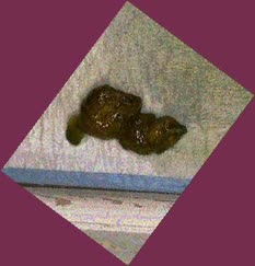thumbnail of 9Rua2y.jpg