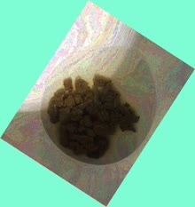 thumbnail of 4y9FmSJz.jpg