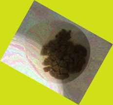 thumbnail of PyoK1TtbS4DGv.jpg