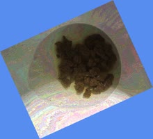 thumbnail of 9mvfZQTL5ahsXJ40WSH.jpg
