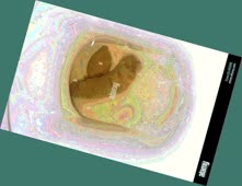 thumbnail of UTeq004h4RDvjxr.jpg
