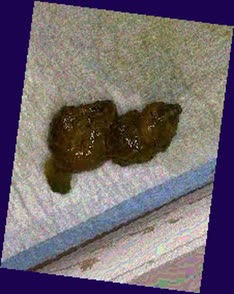 thumbnail of 9rLfrXhsCVrJpCIaf.jpg