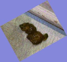thumbnail of 7dZJqjZPmtmV9FBNb.jpg