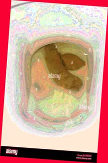 thumbnail of HWqq5.jpg