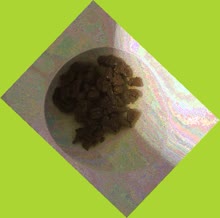 thumbnail of U2VrPN3IypB0ZwBwDcW.jpg