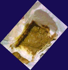 thumbnail of gGVaDA.jpg