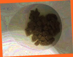 thumbnail of CLCJqsvN8UE94Wa.jpg