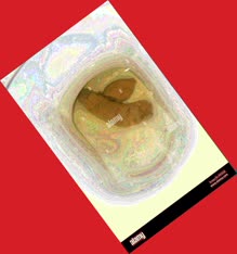 thumbnail of aqLGR3BC3xkA.jpg