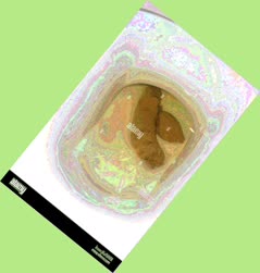 thumbnail of zDiKifji4Z73HRoi5ROo.jpg