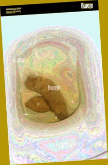thumbnail of XOqpaOTuqsdz421sa.jpg