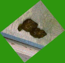 thumbnail of EVAbxhHFLETrH.jpg