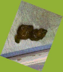 thumbnail of yeFr3m.jpg