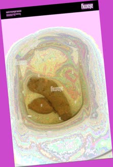 thumbnail of OHPAFj2QMbaJCO57q6L0.jpg