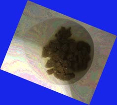 thumbnail of yihkctqUPJgY7QvCL.jpg