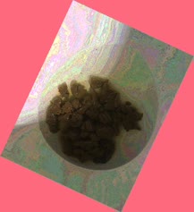thumbnail of ohonYLMyxU3Sd.jpg