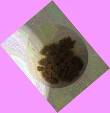 thumbnail of NxE7t0pMaGC.jpg