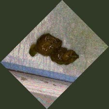 thumbnail of phVAs.jpg