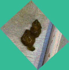thumbnail of 4Wf9lj5oI6QJxRL.jpg