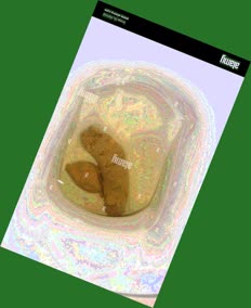 thumbnail of vAkiws.jpg