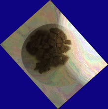 thumbnail of IIHSiyqftefvEH0q5RP1.jpg