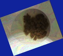 thumbnail of 2TSxDjkg9JmS0Efj.jpg