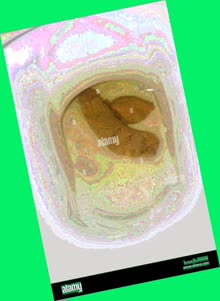 thumbnail of r9OgTgxyc23XFoZb.jpg