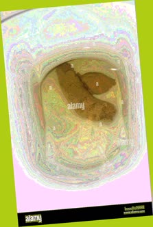 thumbnail of NbuzDLeJt3k.jpg