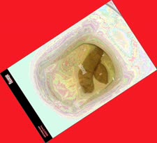 thumbnail of T9qeSv4IZr.jpg