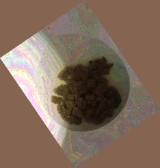 thumbnail of 1pAUIaf8.jpg