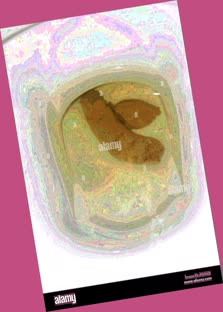 thumbnail of 7DmbqU9G5UEeejdriS4r.jpg
