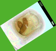 thumbnail of b5Ivoi.jpg