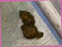 thumbnail of U9zivUhpQpWnVfOuNnh.jpg
