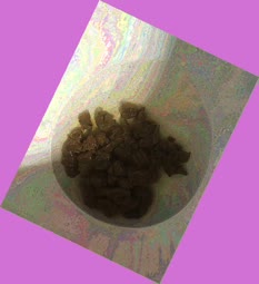 thumbnail of HMuEbGe9gt.jpg
