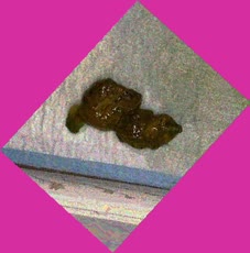thumbnail of vwfWTBWbpwCHwNPwp.jpg