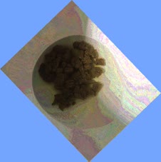 thumbnail of ADDnoiRNrrLizbJ1e.jpg
