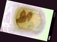 thumbnail of f3cdFxn.jpg