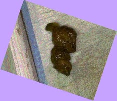 thumbnail of 4dk2yQBFU2Wjo0oYib.jpg