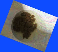 thumbnail of gRes9bHPGerKW.jpg