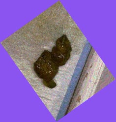 thumbnail of id17Cdo9RaP.jpg
