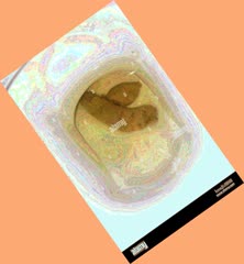 thumbnail of f55YHVa3S.jpg