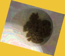 thumbnail of 818gVnQs9kqL9j0xL.jpg
