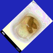 thumbnail of k0rXXXekXdy.jpg